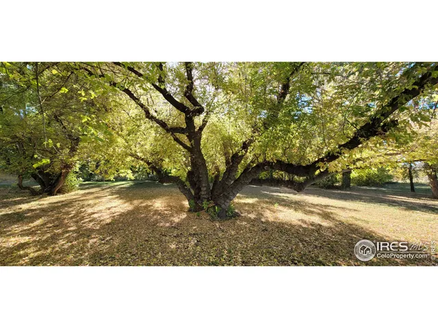 a view of outdoor space and yard