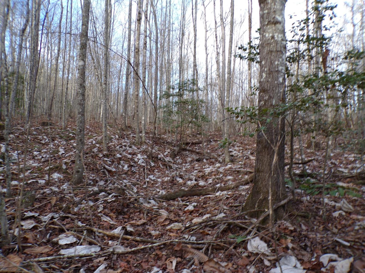 4200 Forest Service Road London, KY 40744 - Photo 21 of 44 Photo 21