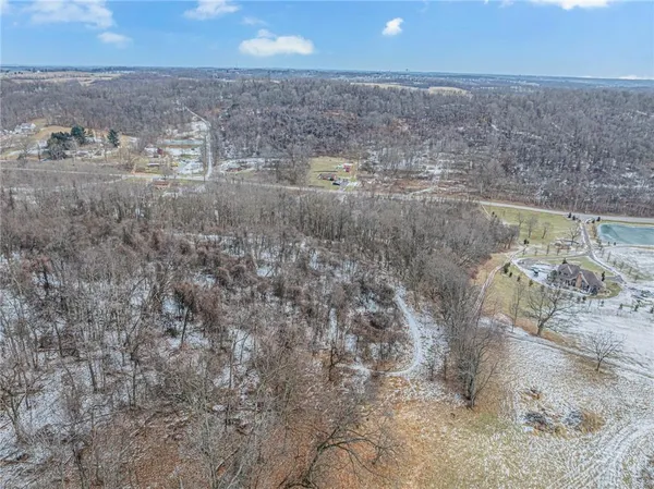 a view of a dry yard