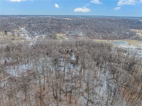 a view of a forest with a mountain in the background