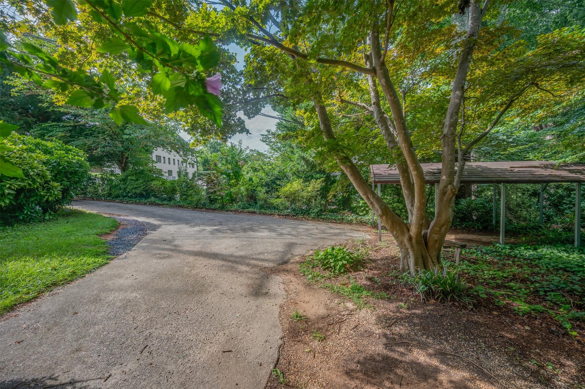 140 Pacolet Street Tryon, NC 28782 - Photo 29 of 46 Gallery Image 29