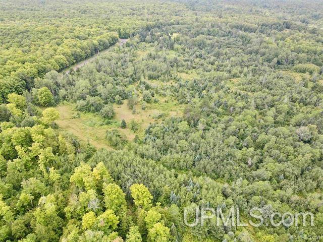 9692 North Laird Road Pelkie, MI 49958 - Photo 33 of 44