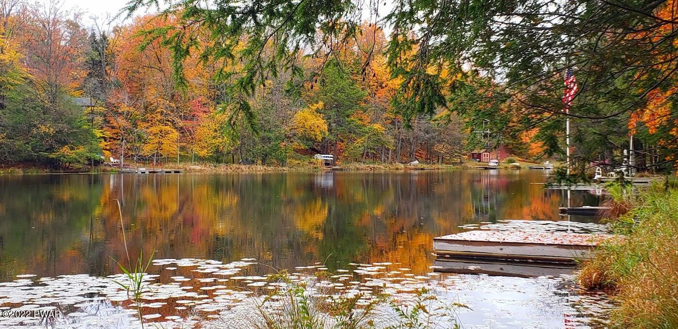 79 Deerfield Road Lake Ariel, PA 18436 - Photo 5 of 55 Lakefront
