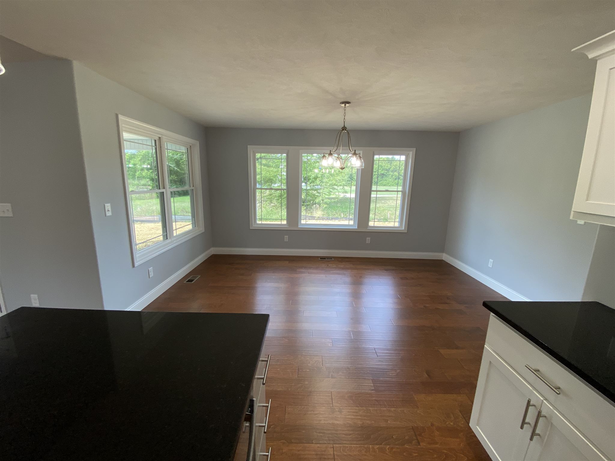513 Parkview Drive Rochester, IL 62563 - Photo 8 of 21 Gallery Image 8