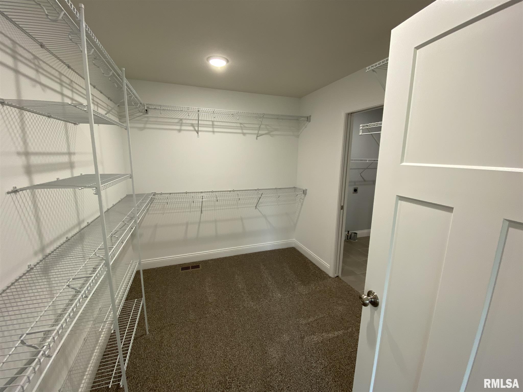 513 Parkview Drive Rochester, IL 62563 - Photo 10 of 21 Gallery Image 10