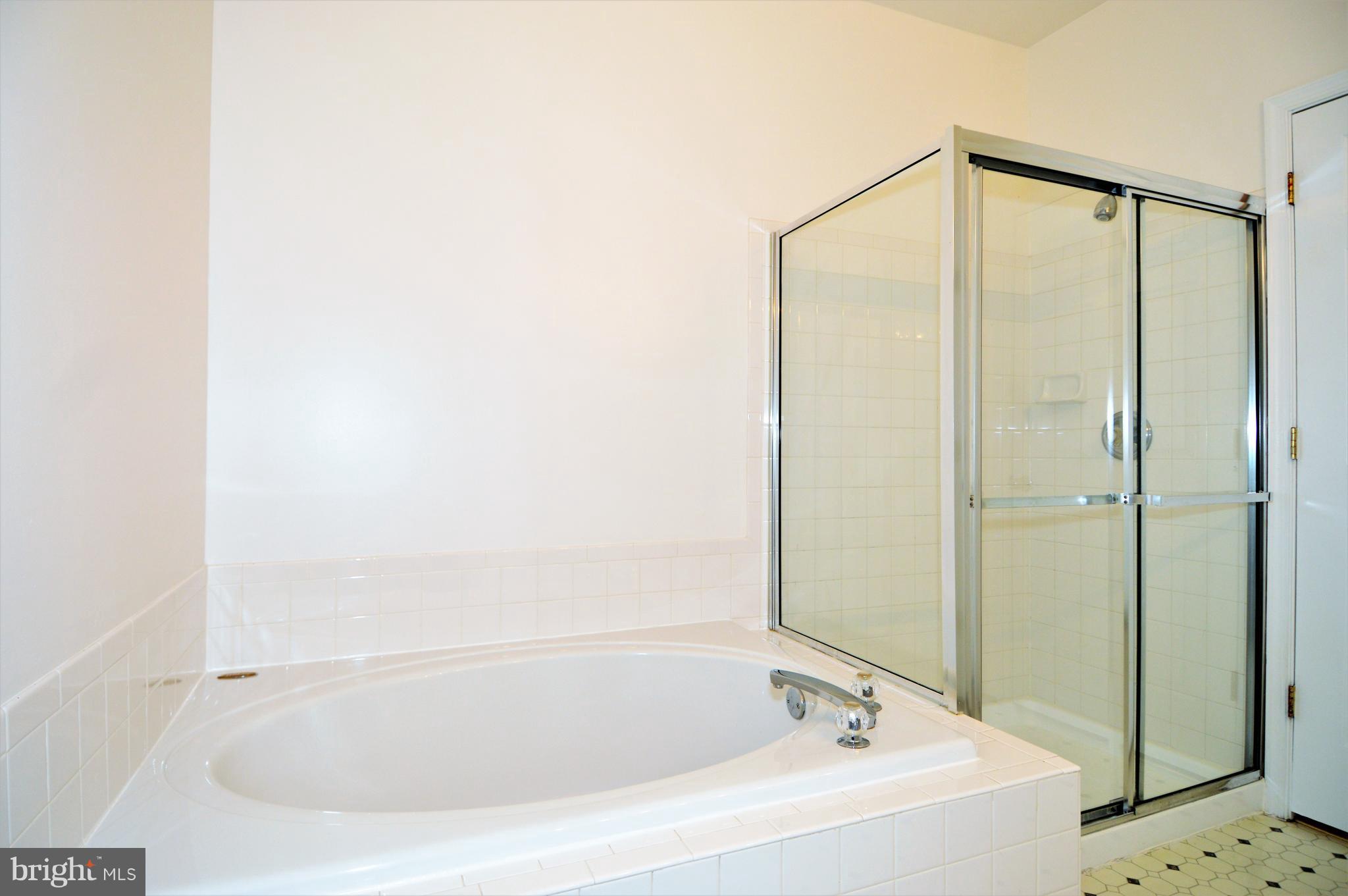23 Hawk Rise Lane, Unit 302 Owings Mills, MD 21117 - Photo 21 of 51 Soaking Tub Master Bath