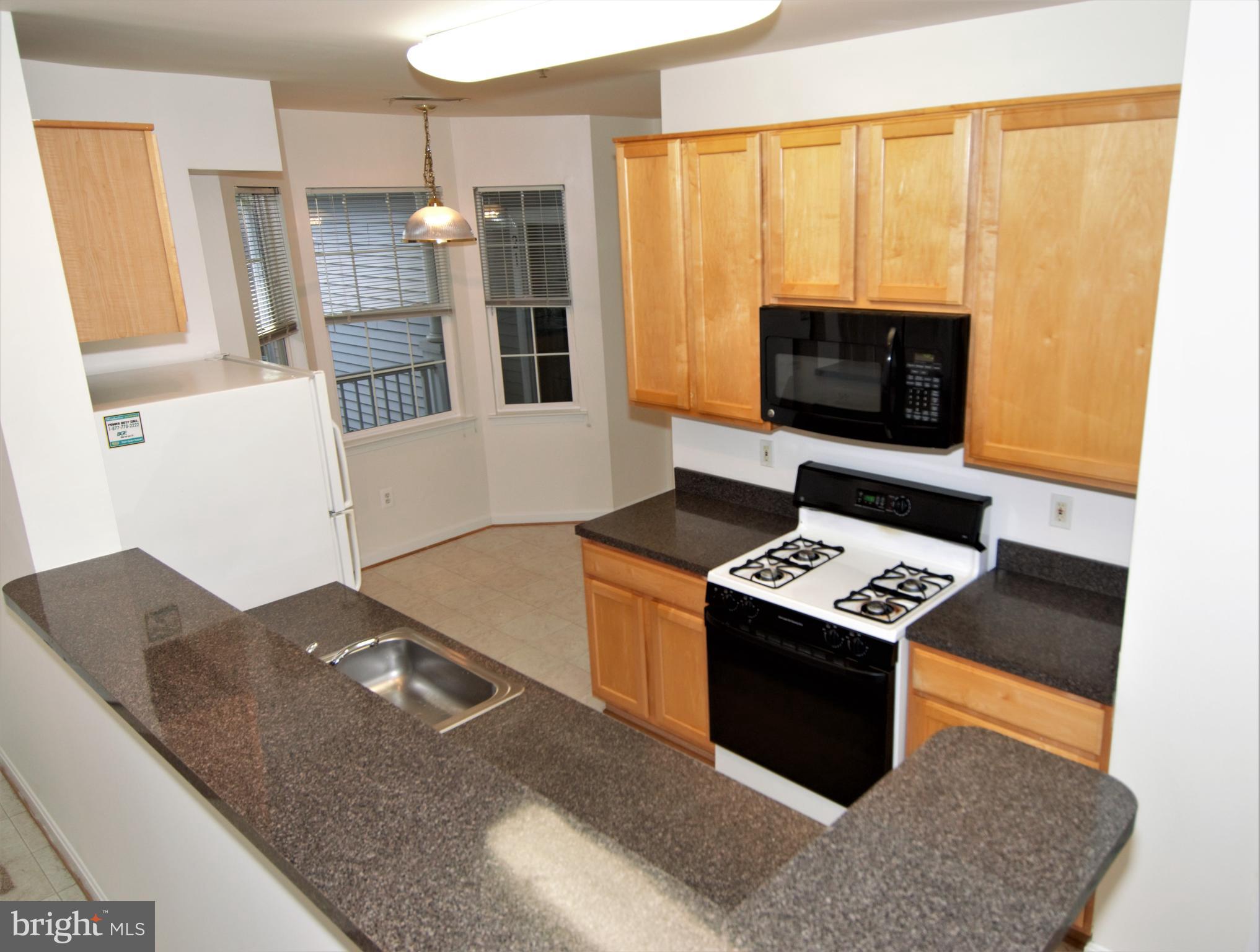 23 Hawk Rise Lane, Unit 302 Owings Mills, MD 21117 - Photo 33 of 51 Kitchen