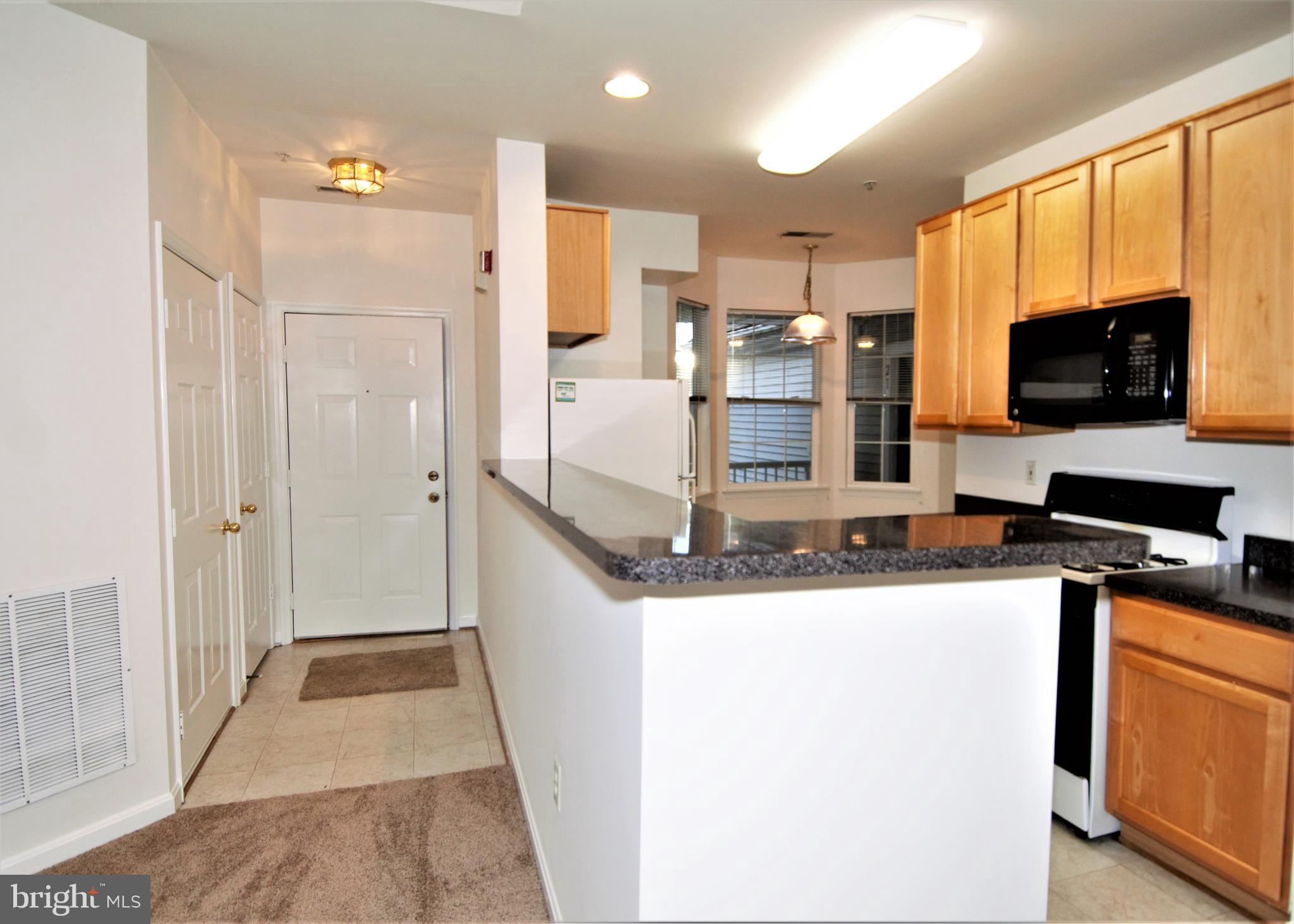 23 Hawk Rise Lane, Unit 302 Owings Mills, MD 21117 - Photo 38 of 51 Open Foyer