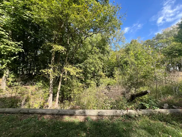 a view of a yard