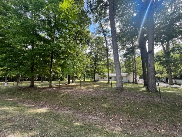 a big yard with lots of green space and trees