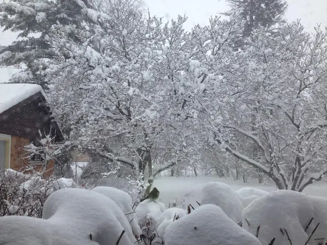 $1,400,000 | 4925 Grand Avenue, Western Springs, IL 60558