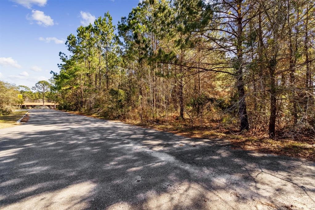 0 Highway 17 Yulee, FL 32097 - Photo 5 of 25 a view of road and trees