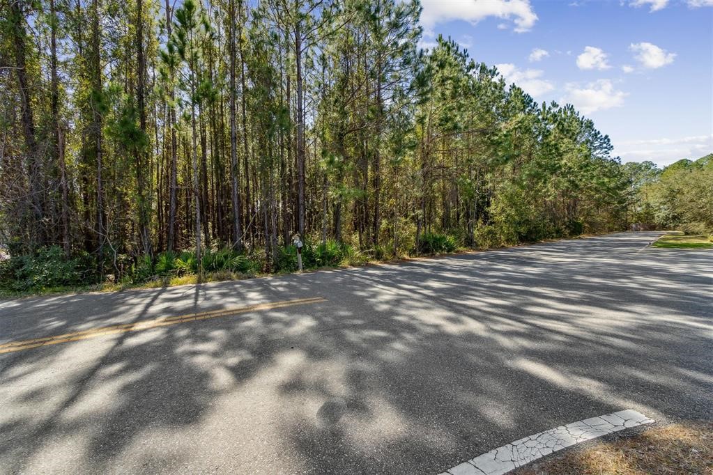 0 Highway 17 Yulee, FL 32097 - Photo 6 of 25 a view of outdoor space with trees