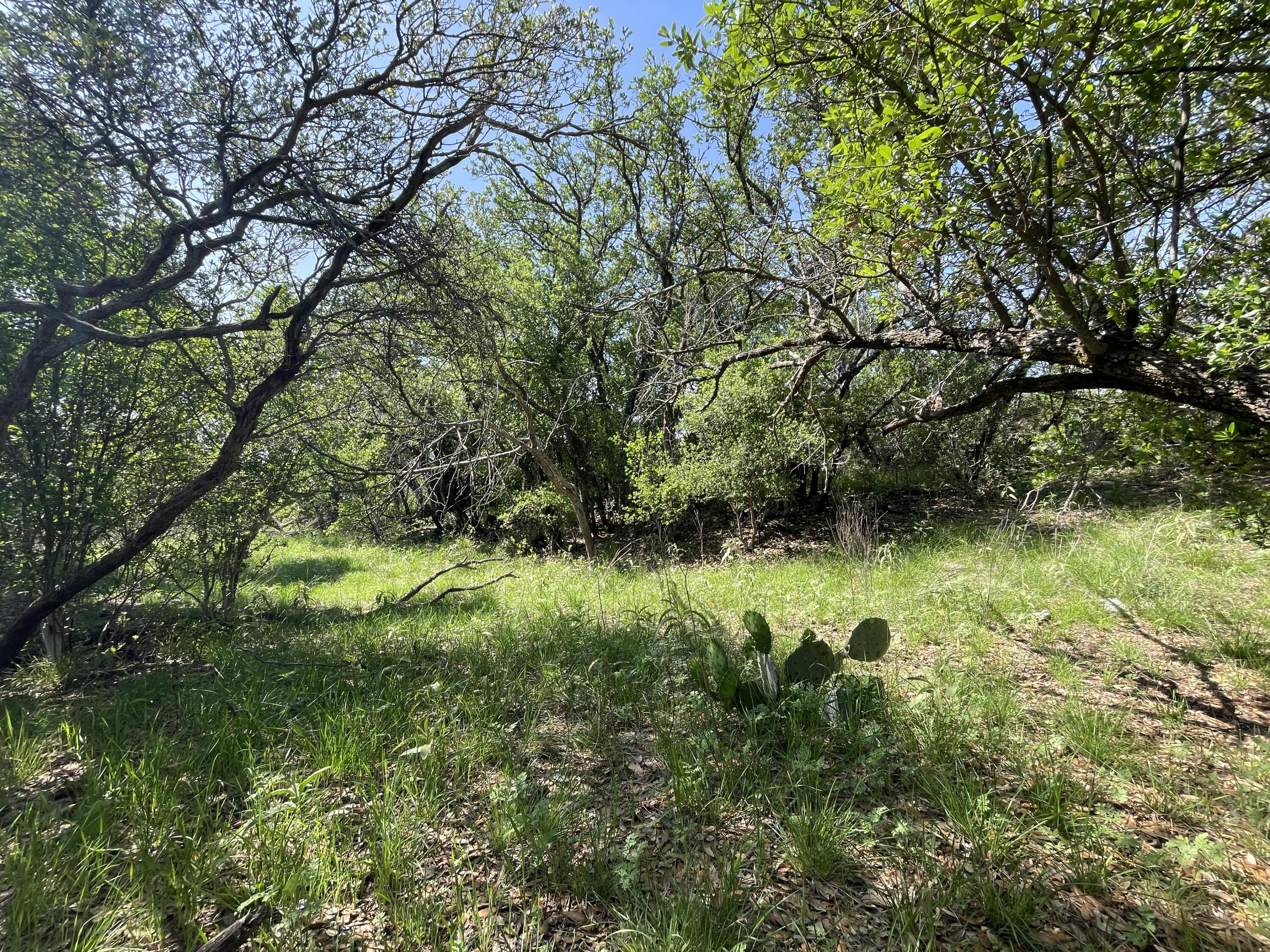 9534 Duff Road Christoval, TX 76935 - Photo 49 of 70 IMG_6992