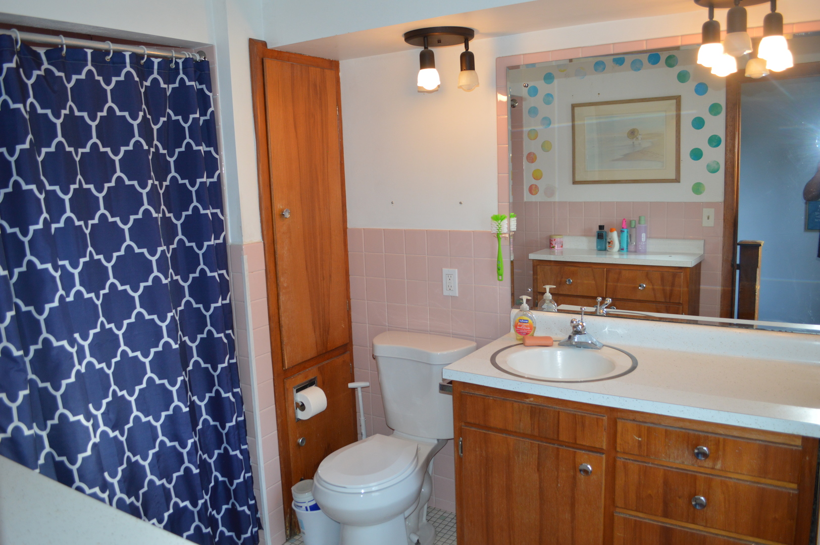 1007 West Farnham Street Princeton, IL 61356 - Photo 19 of 32 a bathroom with a sink a toilet and shower curtain