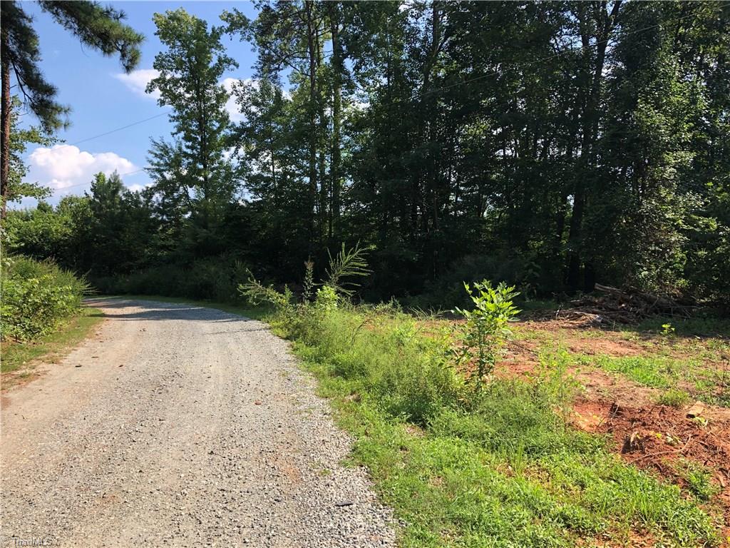 0 Snow Ridge Lane Elon, NC 27244 - Photo 3 of 10 Gallery Image 3