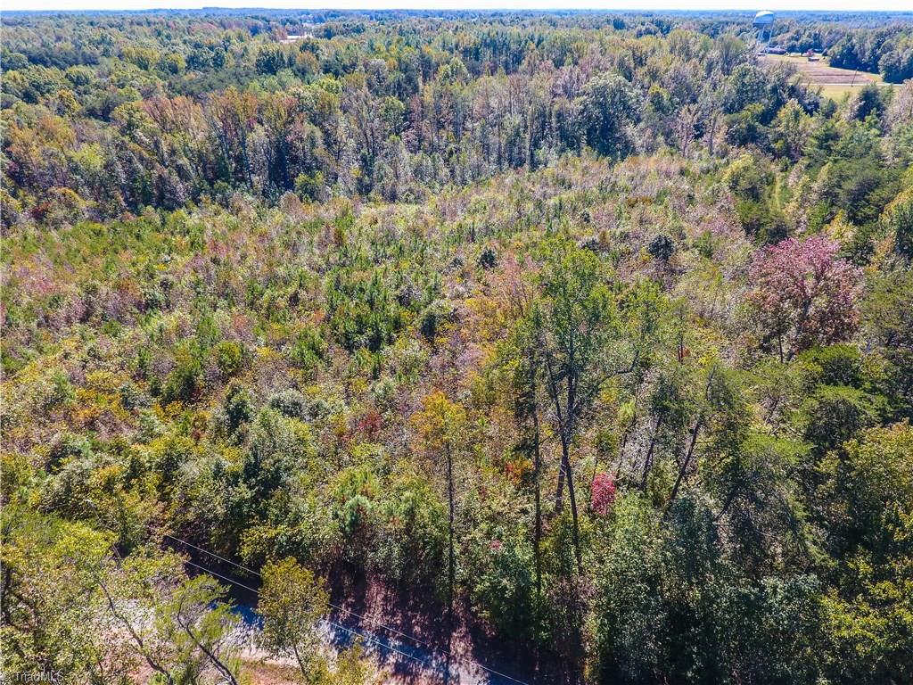 0 Snow Ridge Lane Elon, NC 27244 - Photo 6 of 10 Gallery Image 6