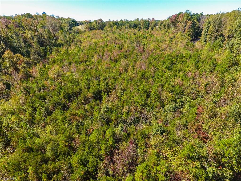 0 Snow Ridge Lane Elon, NC 27244 - Photo 10 of 10 Gallery Image 10
