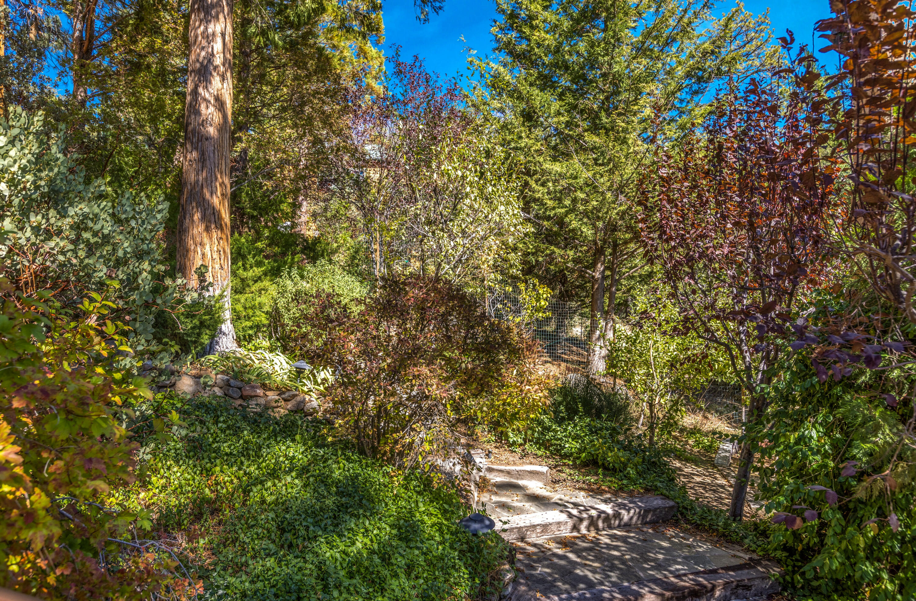 54241 North Ridge Drive Idyllwild, CA 92549 - Photo 54 of 56 59