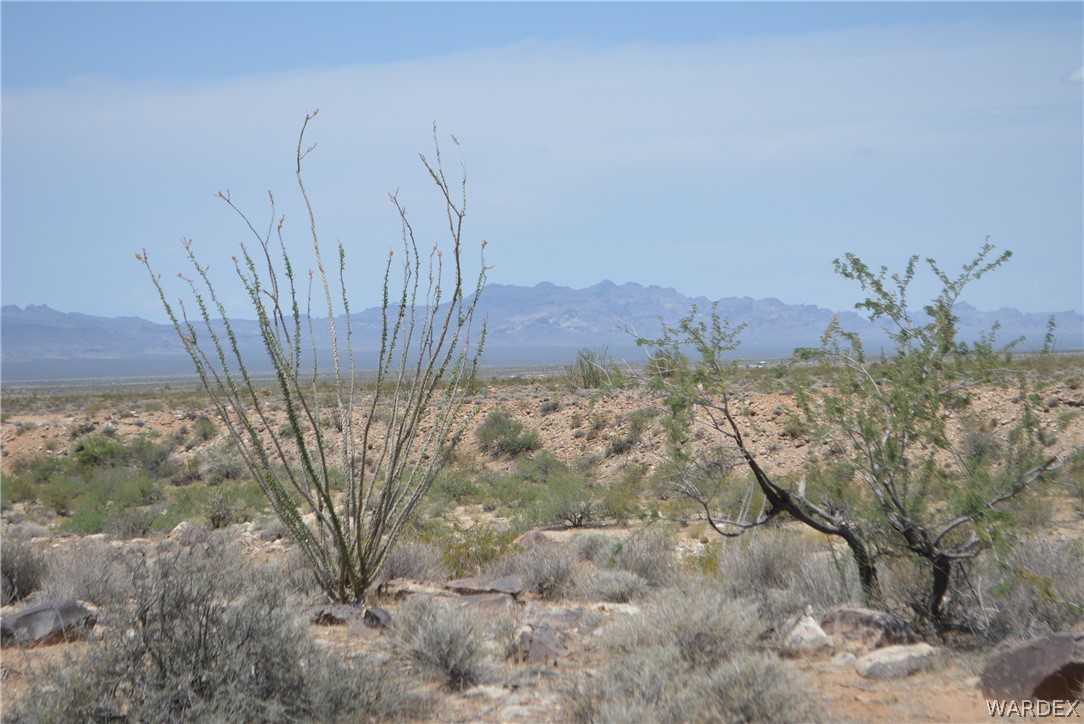 208-24-134 Cameron Road Yucca, AZ 86438 - Photo 48 of 86