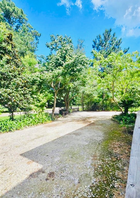 19639 Maple Lane New Caney, TX 77357 - Photo 16 of 18 a view of a garden with plants