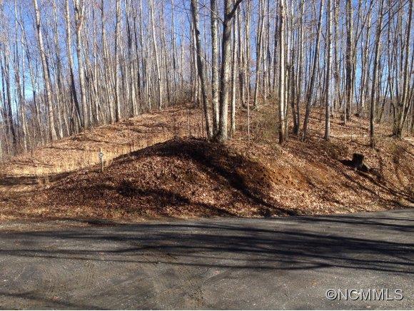 402 High Line Road Sylva, NC 28779 - Photo 2 of 6 Gallery Image 2