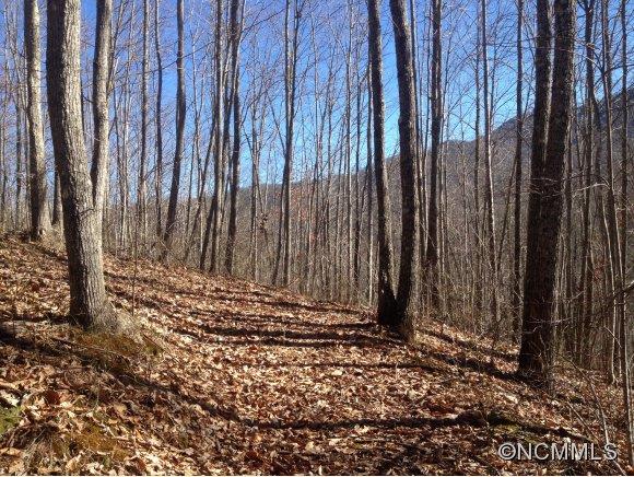 402 High Line Road Sylva, NC 28779 - Photo 3 of 6 Gallery Image 3