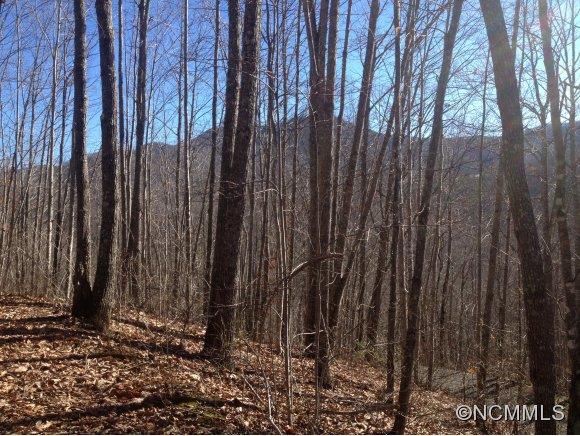 402 High Line Road Sylva, NC 28779 - Photo 4 of 6 Gallery Image 4