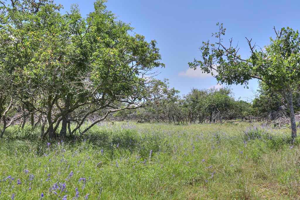 2600 Reservation Road Harper, TX 78631 - Photo 9 of 16