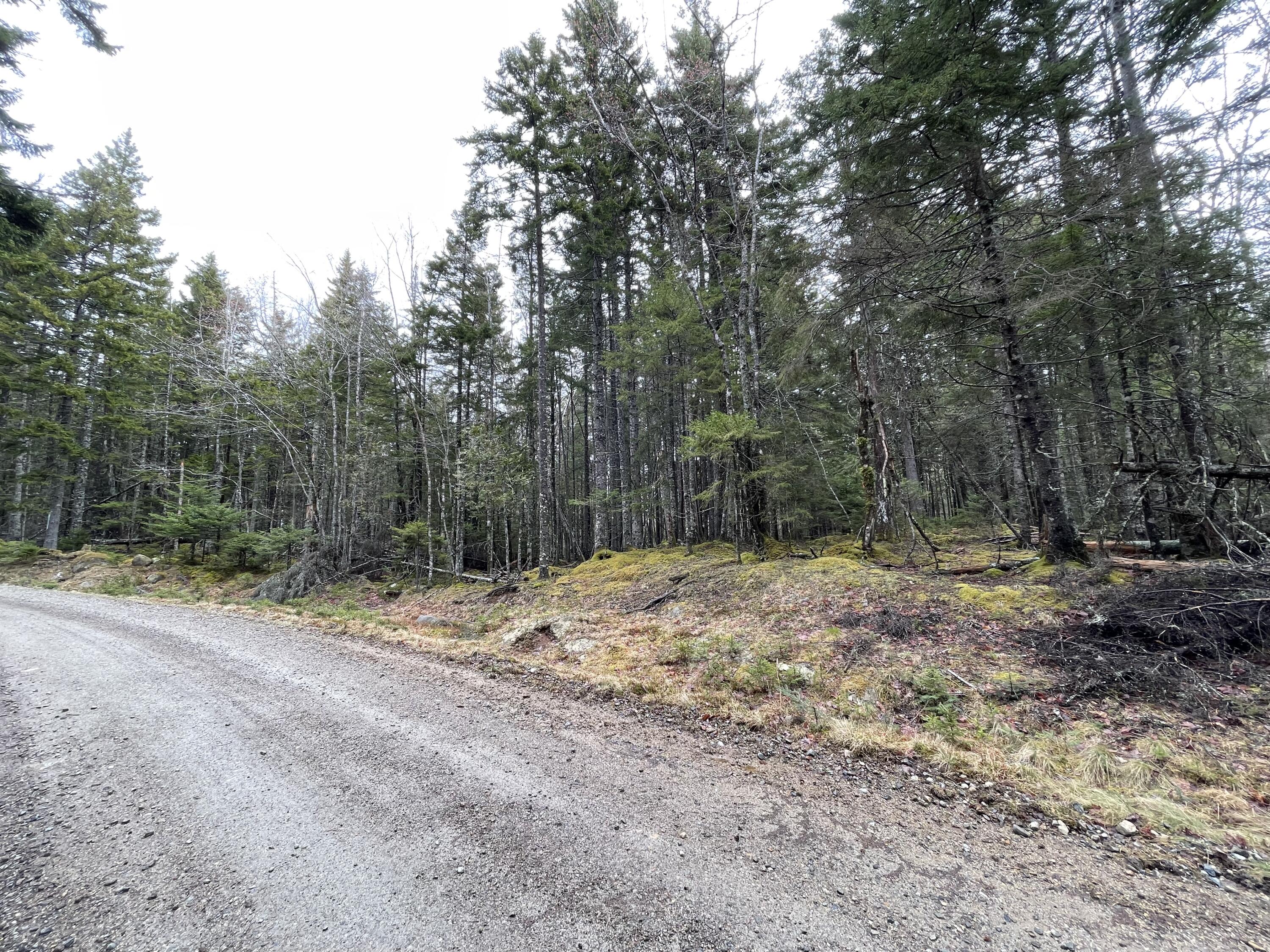 0 Ripley Neck Road Harrington, ME 04643 - Photo 3 of 3 IMG-1101