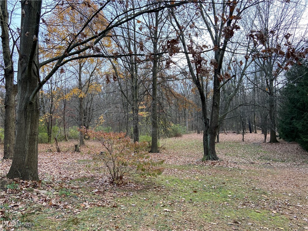 8964 Martin Road Willoughby, OH 44094 - Photo 10 of 21 Gallery Image 10