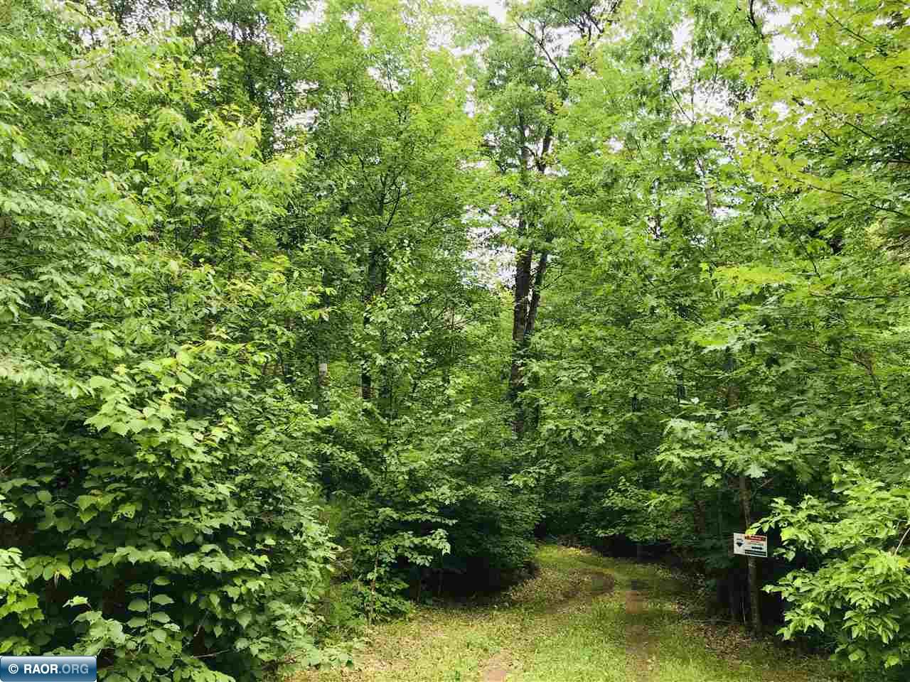 5397 Northeast Andrus Lake Road Outing, MN 56662 - Photo 8 of 11