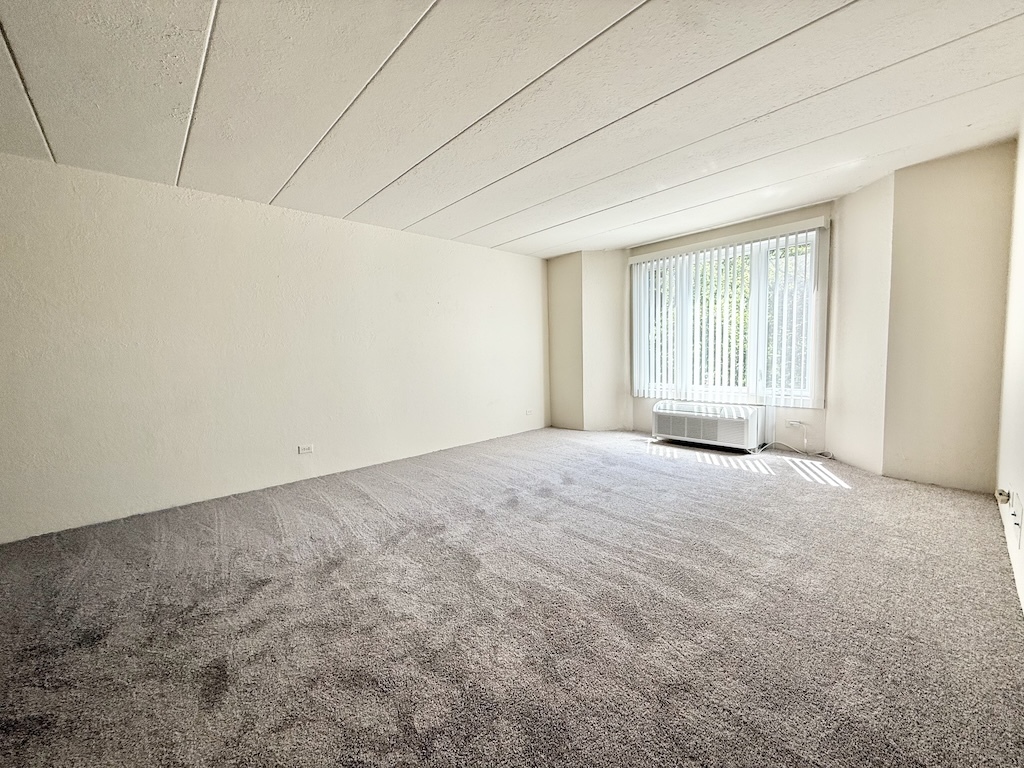 1 Renaissance Place, Unit 215 Palatine, IL 60067 - Photo 8 of 13