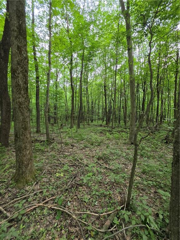 0 Silvis Road Homer City, PA 15748 - Photo 3 of 13