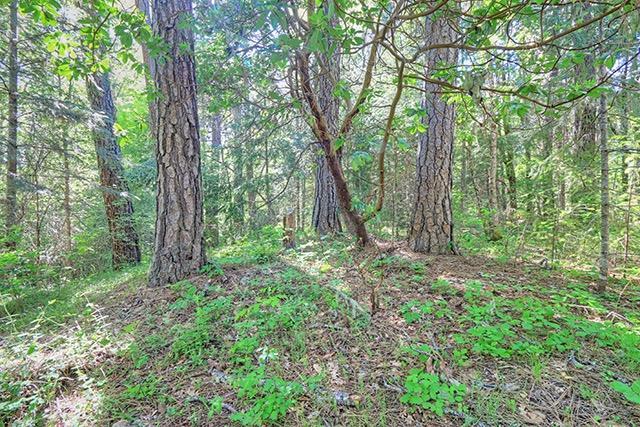 0 West Udee Road O'Brien, OR 97534 - Photo 21 of 24 Additional Photo