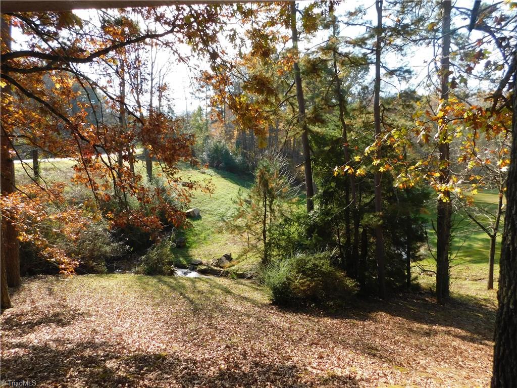 3127 W.O.W. Road Randleman, NC 27317 - Photo 7 of 18 View