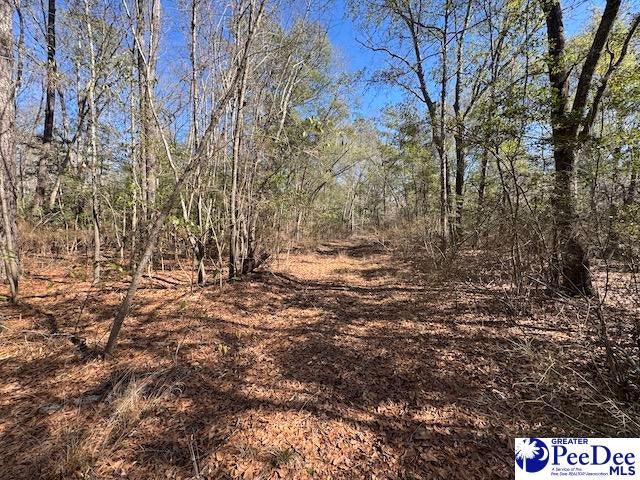 Tbd Paper Mill Road Florence, SC 29505 - Photo 17 of 28 Gallery Image 17