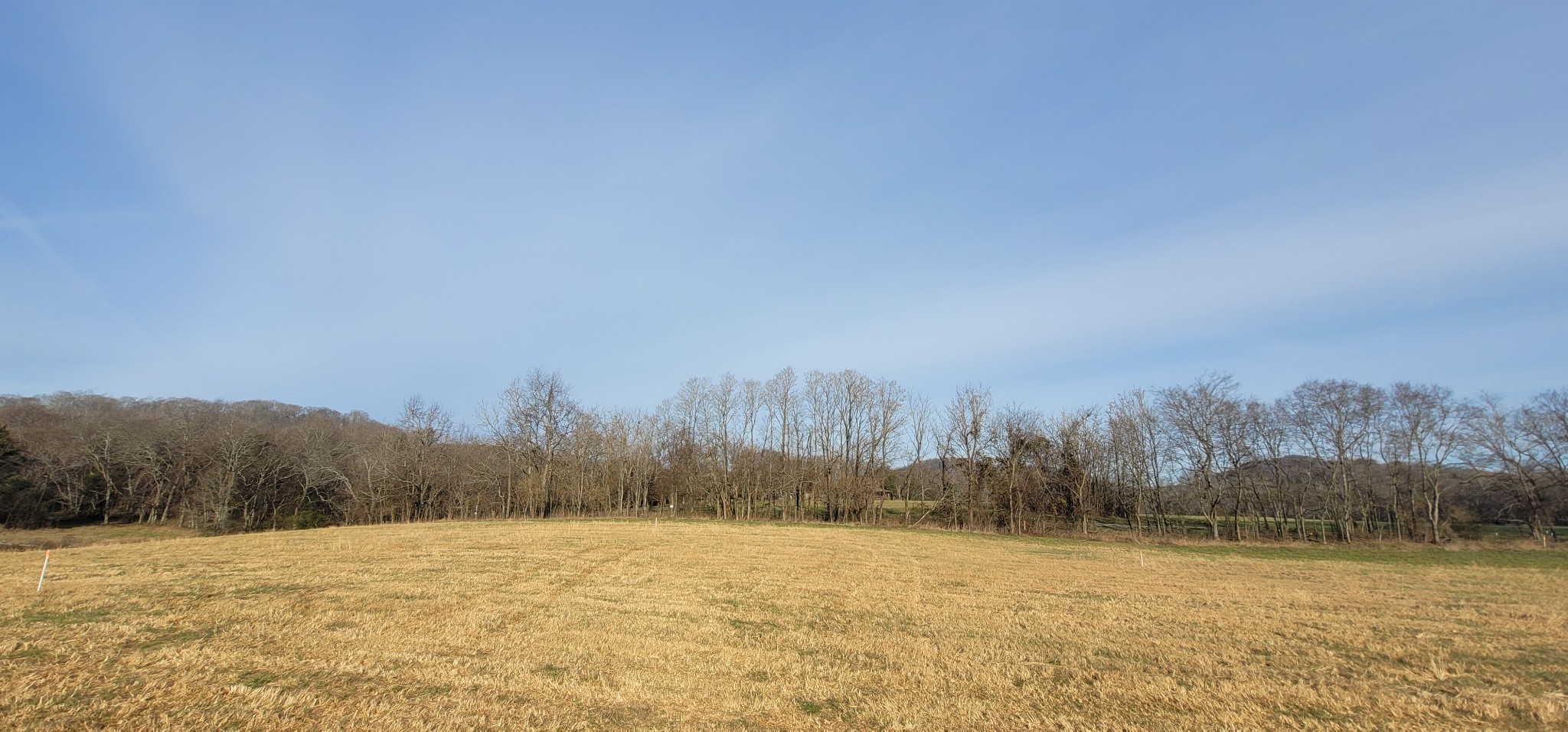 4 Templow Road Bethpage, TN 37022 - Photo 6 of 10 Gallery Image 6