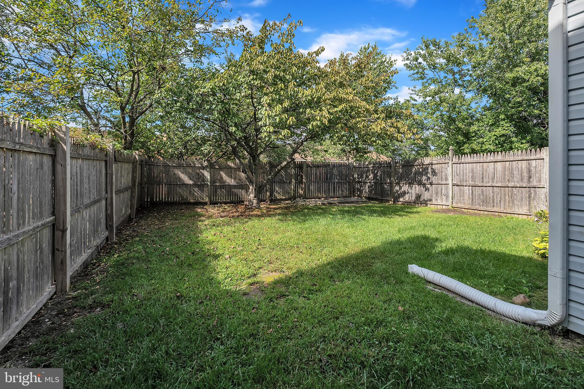 55 Hamilton Street Swedesboro, NJ 08085 - Photo 11 of 48 a view of a backyard with a small cabin
