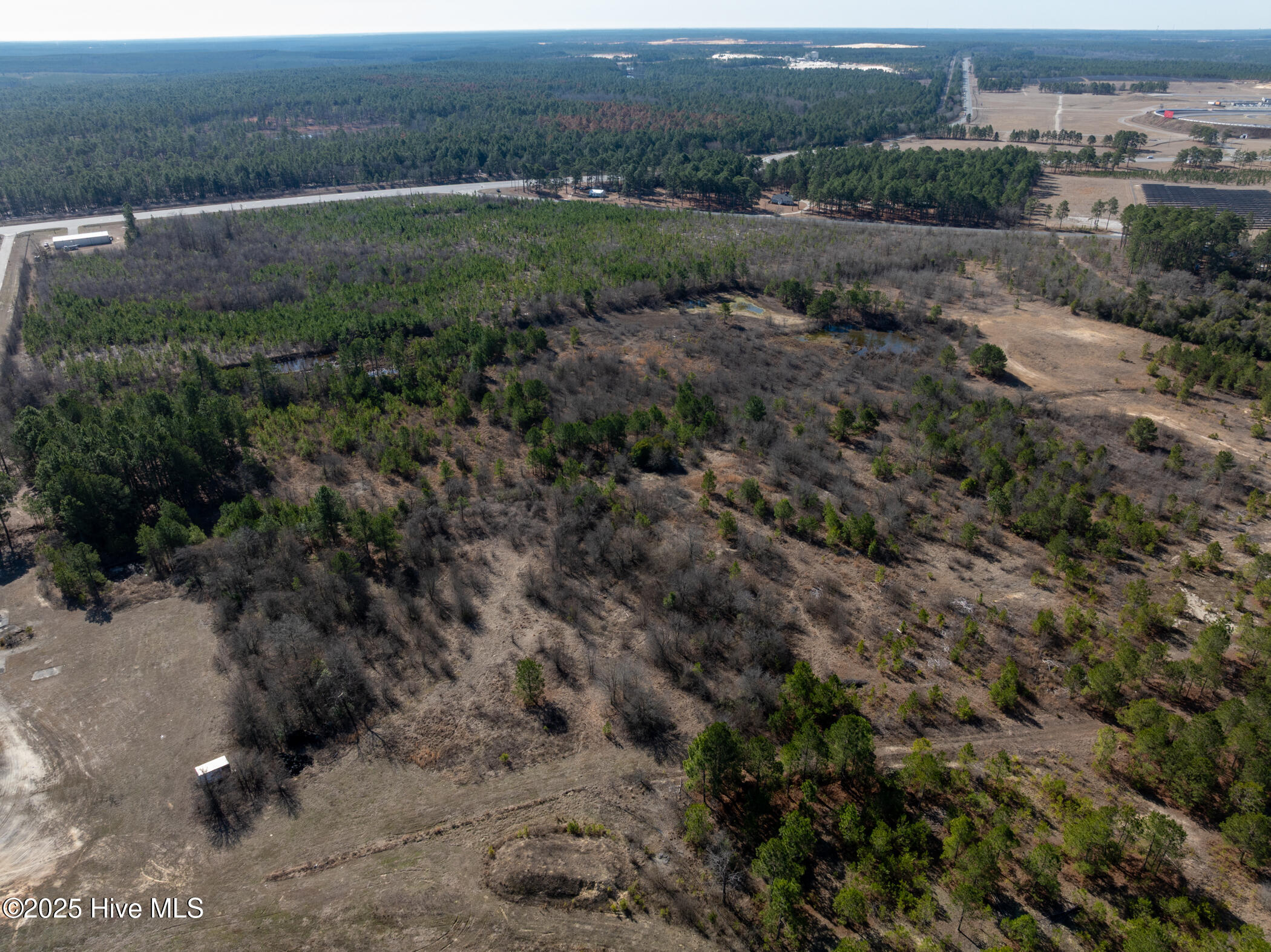 159 Beaverdam Church Road Marston, NC 28363 - Photo 15 of 23 DJI_0219