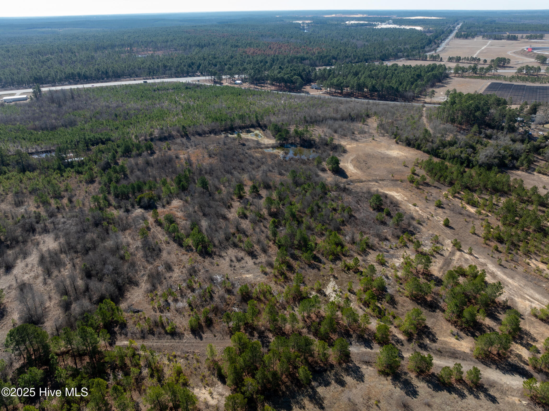 159 Beaverdam Church Road Marston, NC 28363 - Photo 16 of 23 DJI_0220