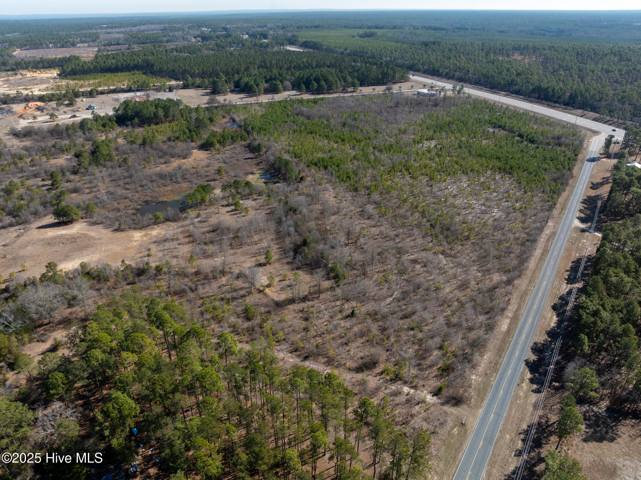 159 Beaverdam Church Road Marston, NC 28363 - Photo 20 of 23 DJI_0224