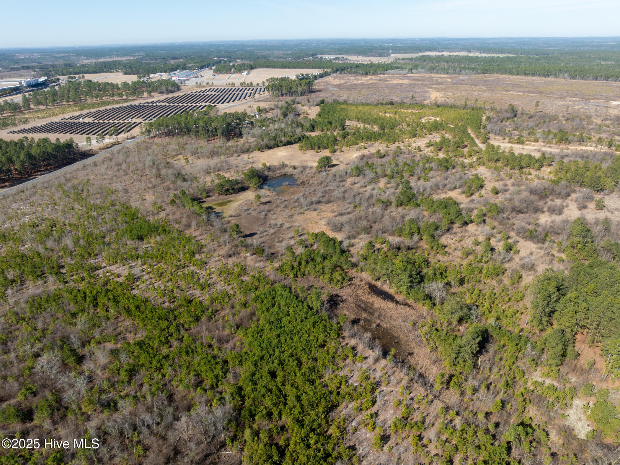 159 Beaverdam Church Road Marston, NC 28363 - Photo 2 of 23 DJI_0217