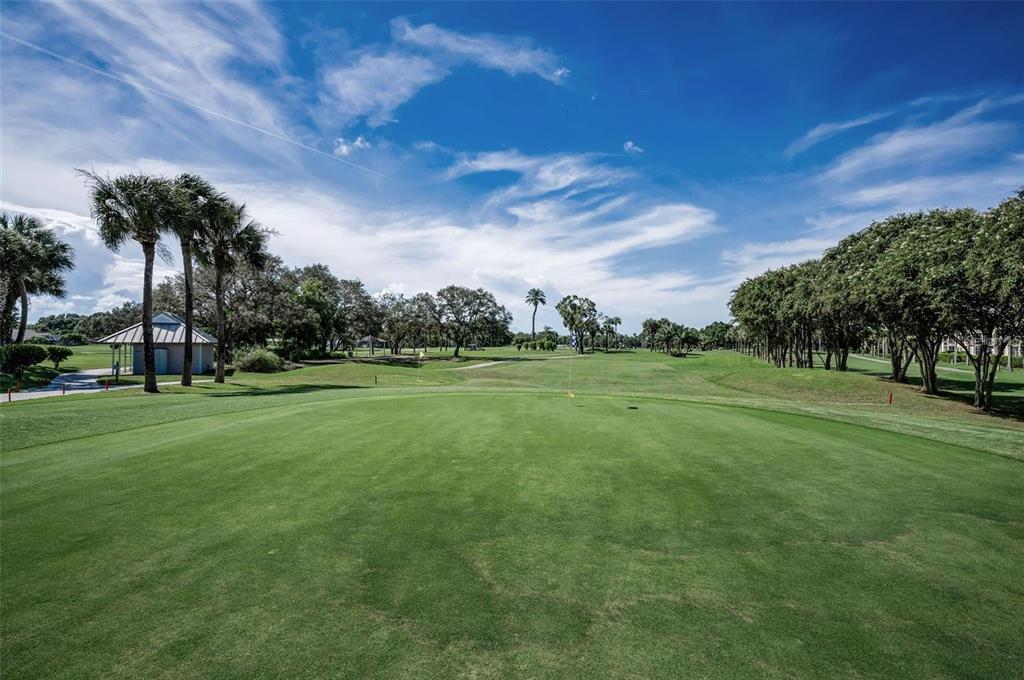 12200 Vonn Road, Unit 2105 Largo, FL 33774 - Photo 36 of 37 a view of a green field