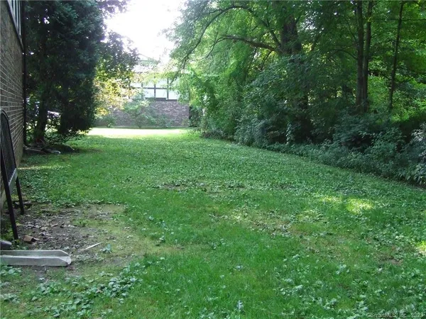 a view of a yard with plants and large trees