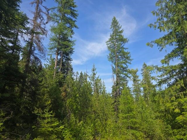 37-xx Red Marble Road Chewelah, WA 99109 - Photo 12 of 18