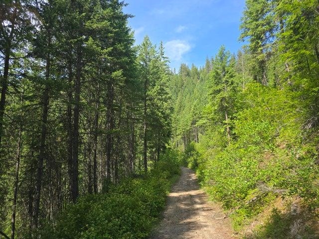 37-xx Red Marble Road Chewelah, WA 99109 - Photo 17 of 18