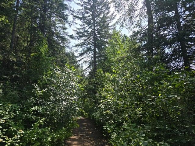 37-xx Red Marble Road Chewelah, WA 99109 - Photo 4 of 18