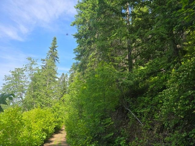 37-xx Red Marble Road Chewelah, WA 99109 - Photo 5 of 18