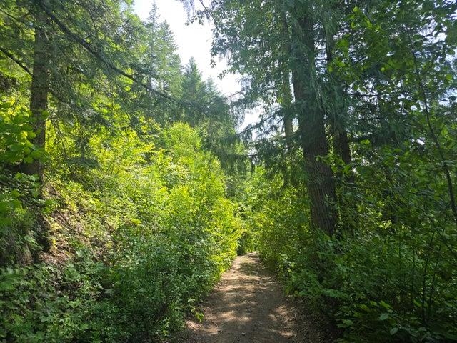 37-xx Red Marble Road Chewelah, WA 99109 - Photo 6 of 18